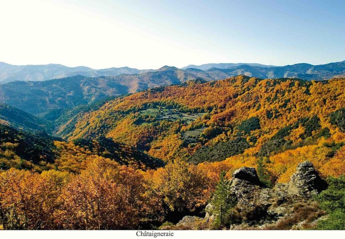 L'Oree Cevenole, Spa & Panorama D'Exception Saint Julien Les Rosiers エクステリア 写真
